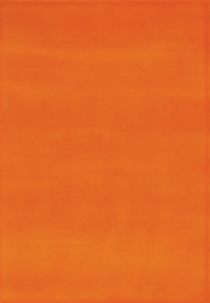 Arco oranžová obkládačka 25x36