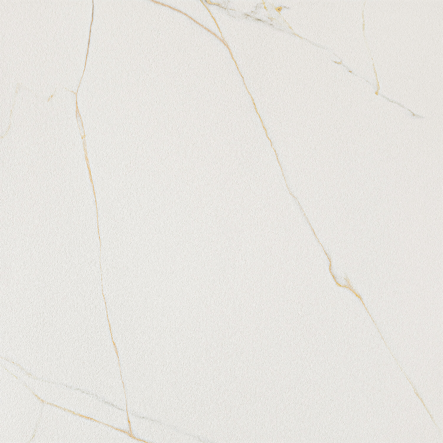 Dlažba Arte Borneo white mat rektifikovaná 60x60