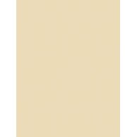 Obklad Rako Concept béžová mat 25x33 WAAKB108