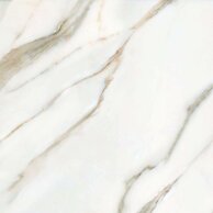 Dlažba Cersanit Borgini Gold mat rektifikovaná 60x60