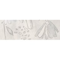 Dekor El Molino Prada perla lesk rektifikovaný 40x120