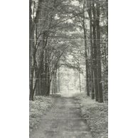 Dekor Tubadzin All in white 2 14ks mat rektifikovaný 120x210