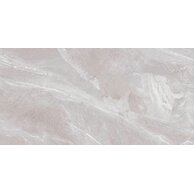 Dlažba Epicentr Napoli silver mat rektifikovaná 60x120