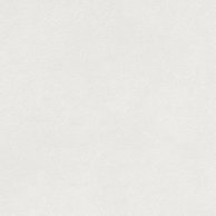 Dlažba Rako Extra bílá struktura mat 30x30 DAR34722