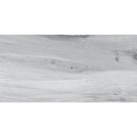 Dlažba Cersanit Ashville light grey mat 30x60 W991-002-1