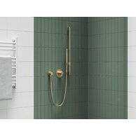 Sprcha ruční Ravak mosazná, gold brushed, X07P1239