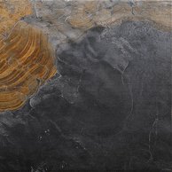 Dlažba El Molino Florencia 20 jet gris mat rektifikovaná 60x60