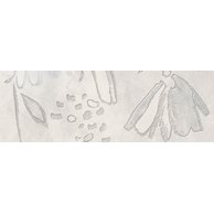 Dekor El Molino Prada perla lesk rektifikovaný 40x120