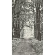 Dekor Tubadzin All in white 2 14ks mat rektifikovaný 120x210