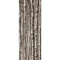 Dekor skleněný Tubadzin Birch 4ks lesk rektifikovaný 90x240