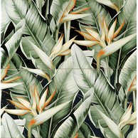 Dekor Arté Floris 2ks lesk 61x62