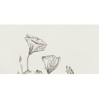 Dekor Tubadzin Velo bianco flowers 4 pololesk rektifikovaný 60x120