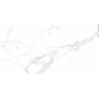 Dlažba Epicentr Avenzo silver satin rektifikovaná 60x120