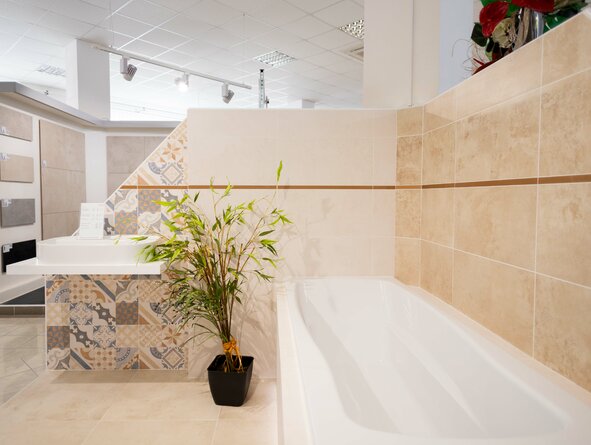 Neutral 2019 Neutral 2019