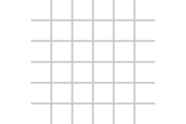 Mozaika Rako Color Two bílá lesk 30x30 GDM05052