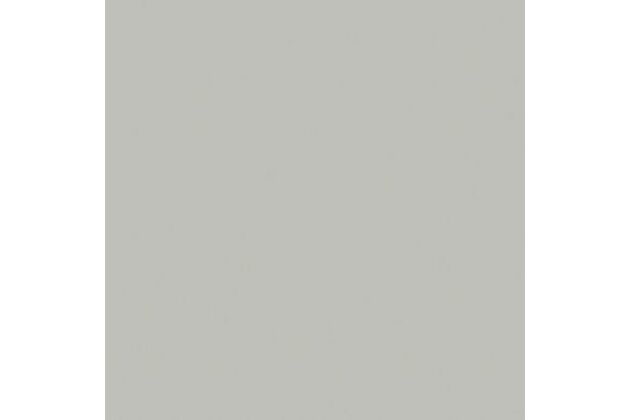 Dlažba Rako Taurus Color světle šedá mat 20x20 TAA25003
