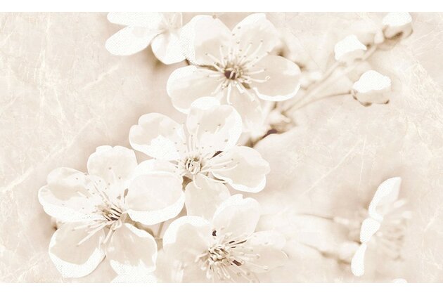 Dekor Cersanit Sofi flower 25x40