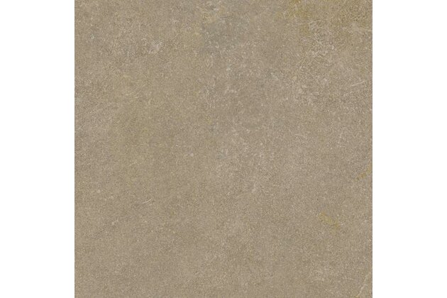 Dlažba Paradyz Ingastone20 brown mat rektifikovaná 60x60