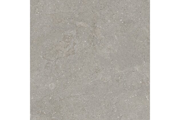 Dlažba El Molino Next gris mat rektifikovaná 58x58
