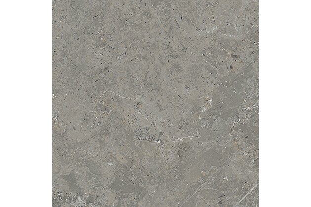 Dlažba El Molino Halifax gris mat rektifikovaná 58x58