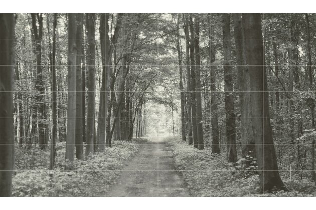 Dekor Tubadzin All in white 1 42ks mat rektifikovaný 210x360