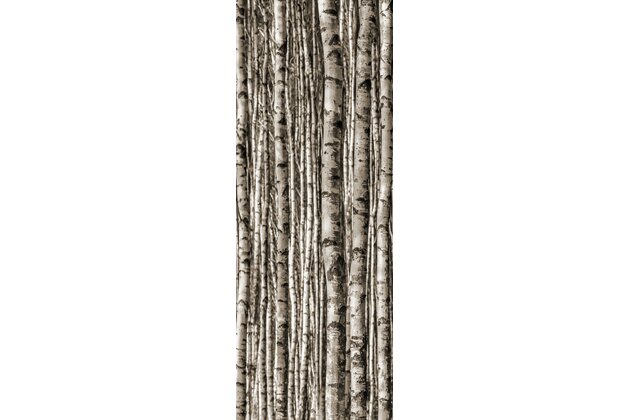 Dekor skleněný Tubadzin Birch 4ks lesk rektifikovaný 90x240