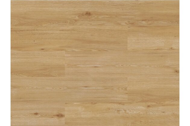 Vinylová podlaha EBS Rigwood click dub roble 18x122 VINHRSPC0008