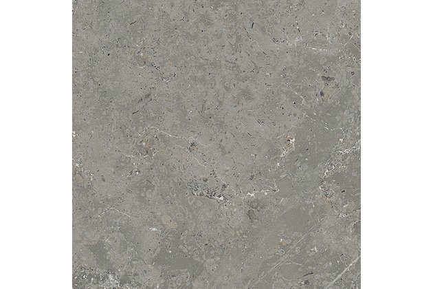 Dlažba El Molino Halifax gris mat rektifikovaná 58x58