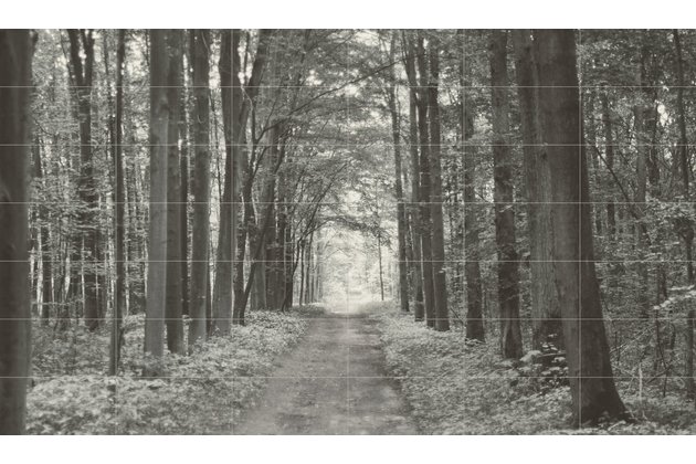 Dekor Tubadzin All in white 1 42ks mat rektifikovaný 210x360