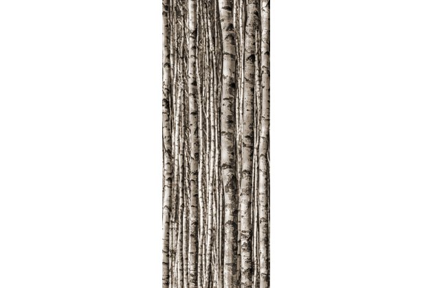 Dekor skleněný Tubadzin Birch 4ks lesk rektifikovaný 90x240 Dekor skleněný Tubadzin Birch 4ks lesk rektifikovaný 90x240