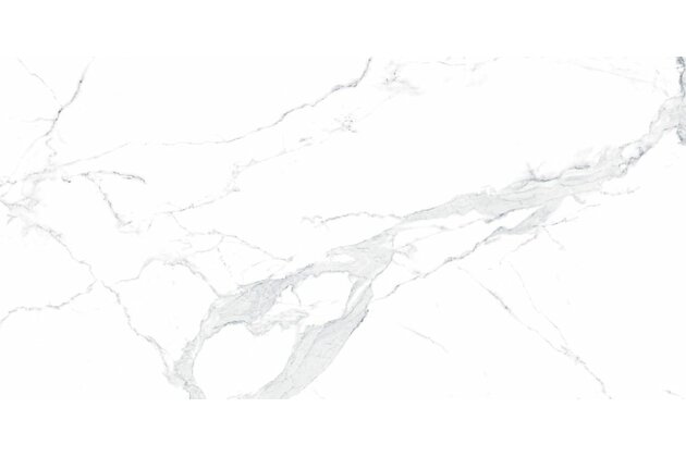 Dlažba Epicentr Avenzo silver satin rektifikovaná 60x120